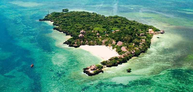 Where Whales Return: Kenya’s Coastline of&nbsp;Memory