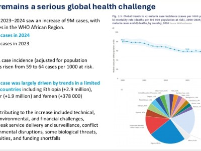 WHY MALARIA STILL KILLS MILLIONS DESPITE BEING&nbsp;PREVENTABLE