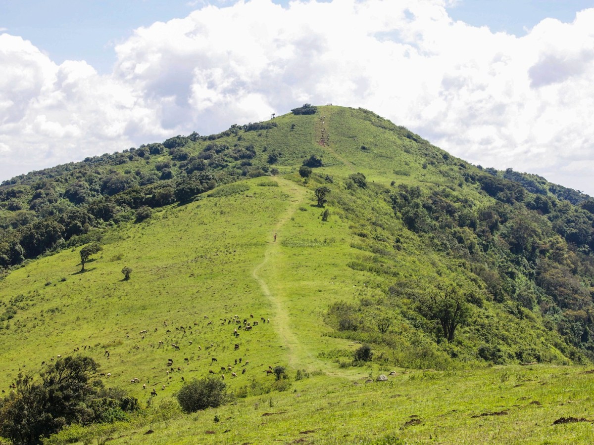Above the City: Walking the Windy Paths of Ngong&nbsp;Hills